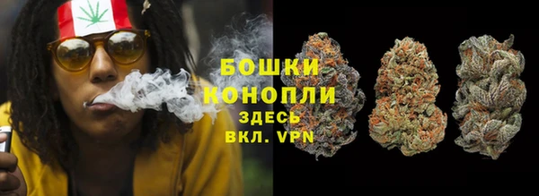 прущие грибы Аркадак