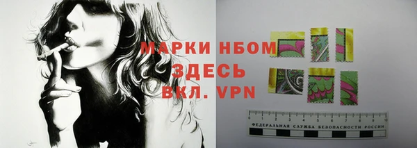 прущие грибы Аркадак