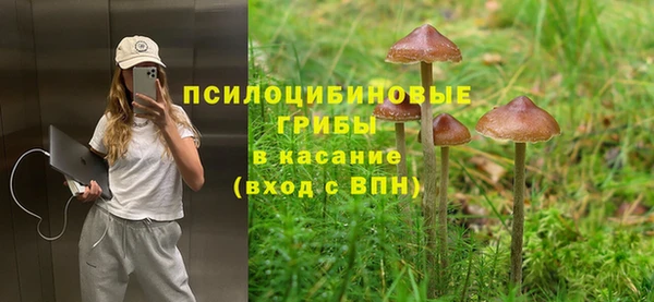 прущие грибы Аркадак