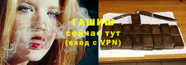 прущие грибы Аркадак